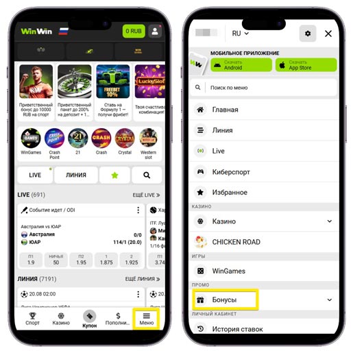 Ссылка на раздел с бонусами